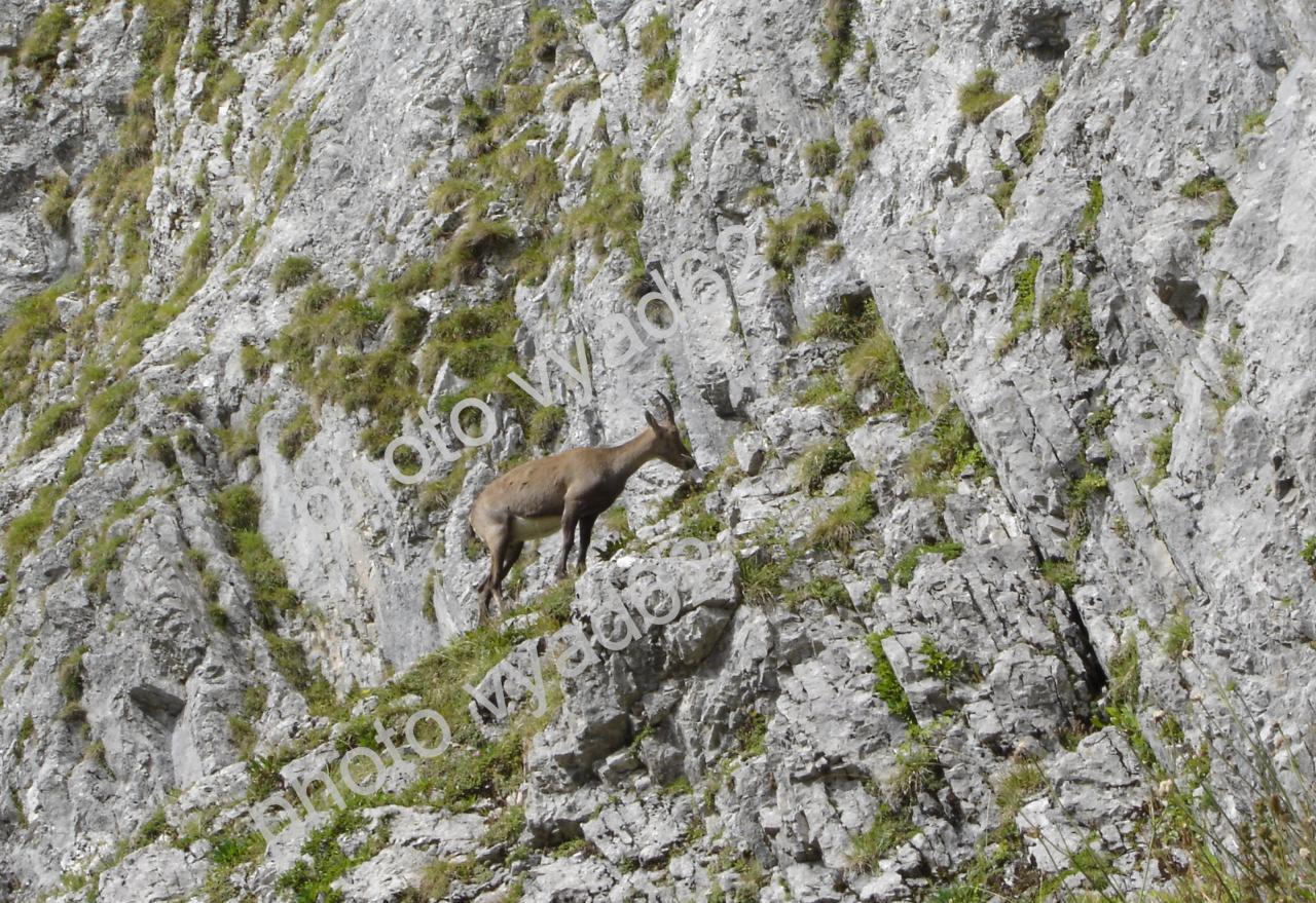 étagne à flanc de montagne