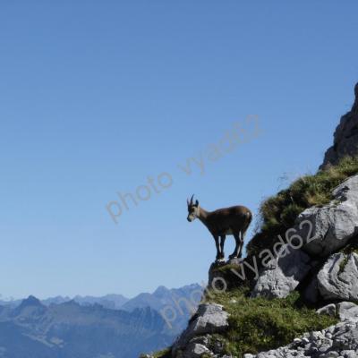 étagne admirant le paysage !