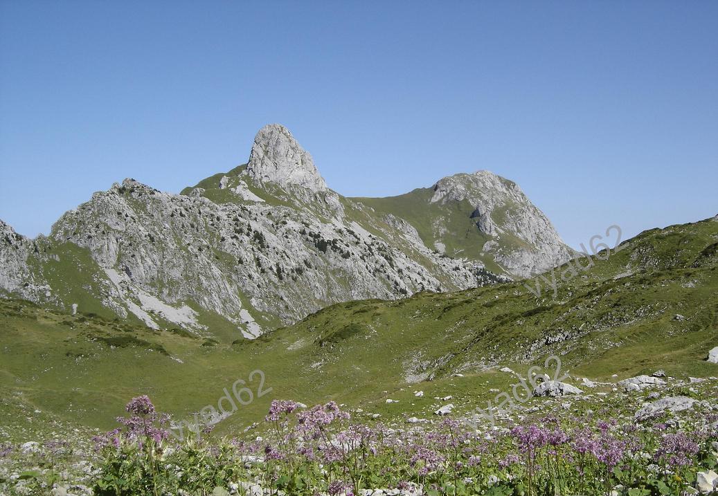 chablais - parterre de fleurs guidant vers la montagne