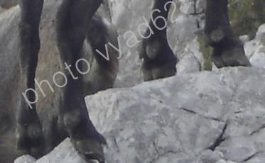 sabot-pour-info-plus-site-avec-vyad62.jpg